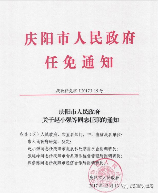 阳谷县统计局人事任命推动统计事业迈向新高度