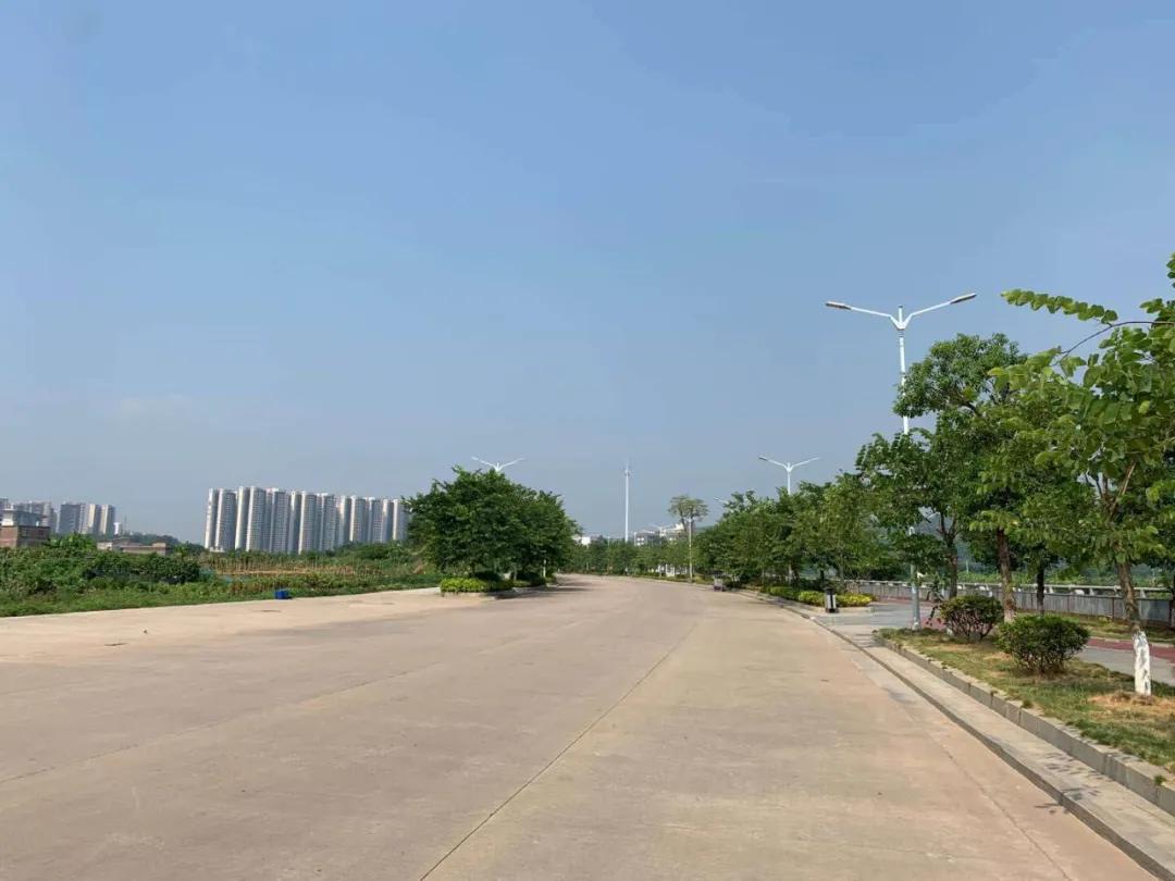 绥江县体育馆最新招聘信息全览，职位空缺与申请指南