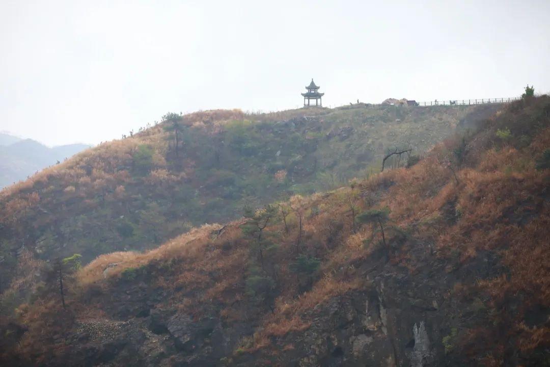 声屏障 第196页