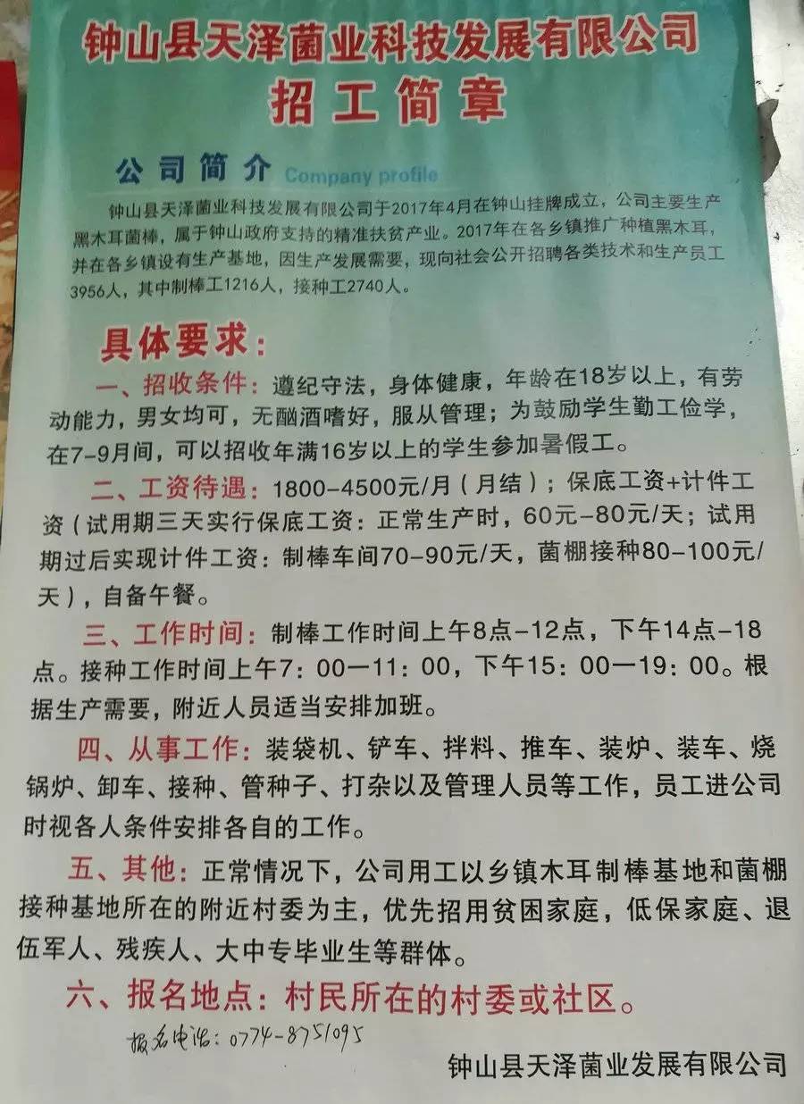访仙镇最新招聘信息一览