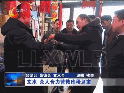 文水最新动态，繁荣与发展并进的步伐