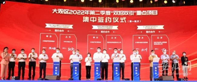大观区数据和政务服务局最新发展规划，构建数字化未来之路的蓝图