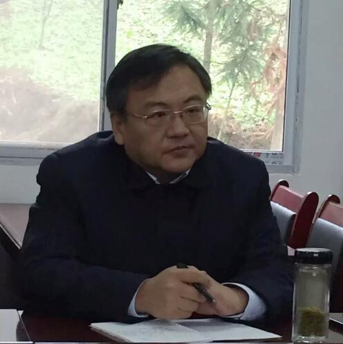 阳河村委会最新领导团队引领未来，开启乡村新篇章