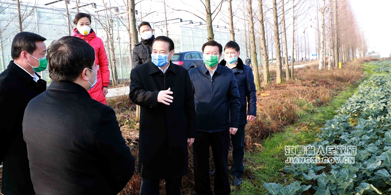 最新31省长引领地方发展的新时代力量崛起