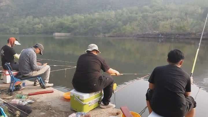 四海钓鱼最新视频，探索垂钓世界的精彩瞬间回顾