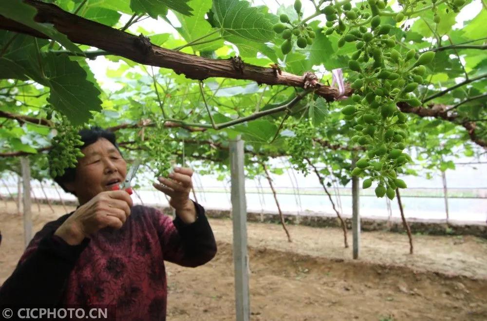 最新永年新闻综述报道
