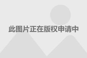 变形金刚最新科技巨制，热血再现的经典动画传奇