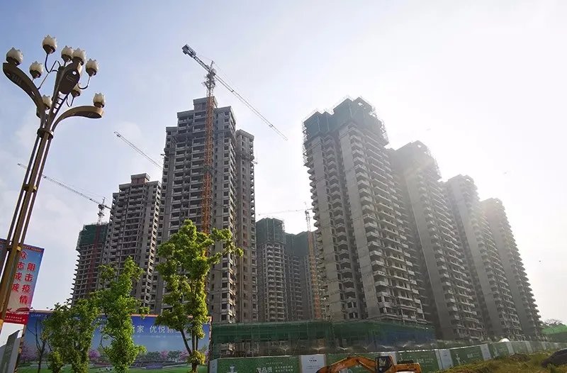 高坪区楼盘最新动态与趋势分析概览