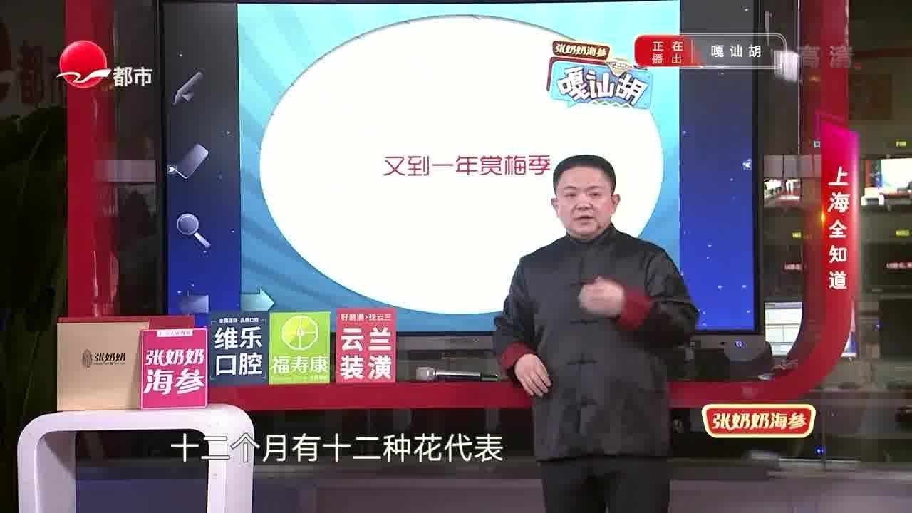 嘎讪胡最新一期深度解读与独特体验分享