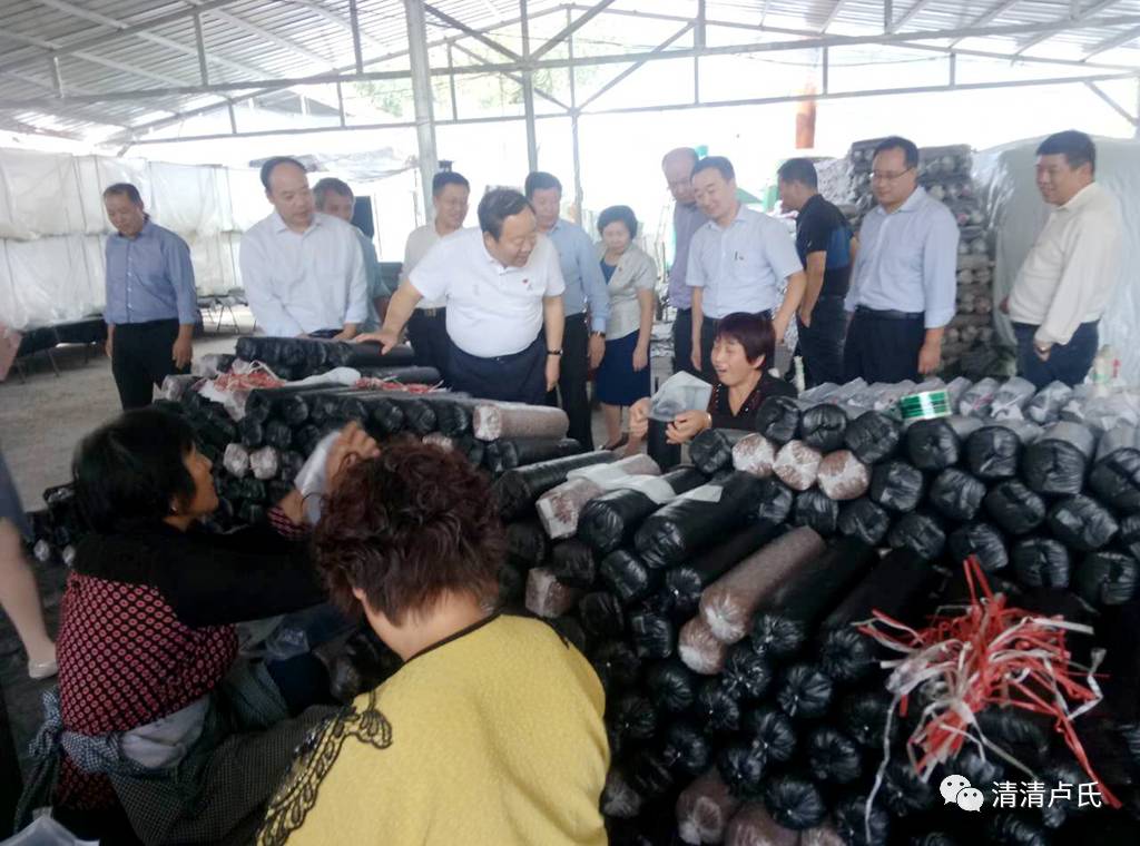 泽普县殡葬事业单位人事任命最新动态及人事调整通知