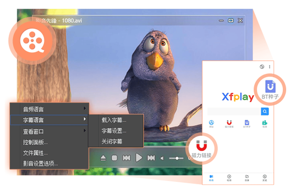 先锋播放器最新版，重塑数字娱乐体验之旅