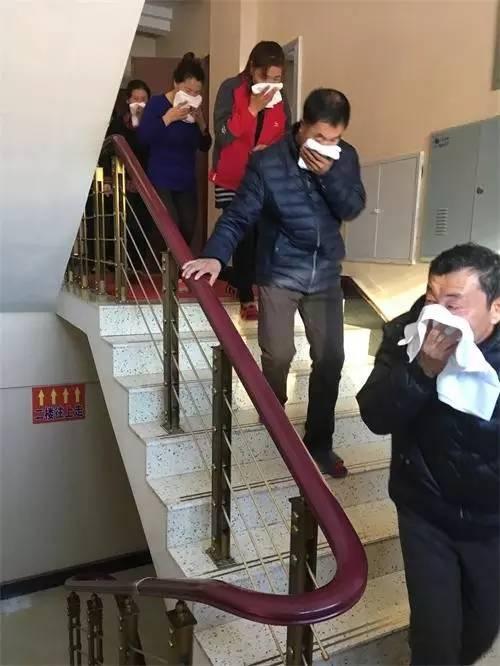 舒兰市教育局最新招聘信息概览，最新职位与要求全解析