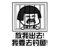 探索糗事最新地址，笑料不断的旅程开启！