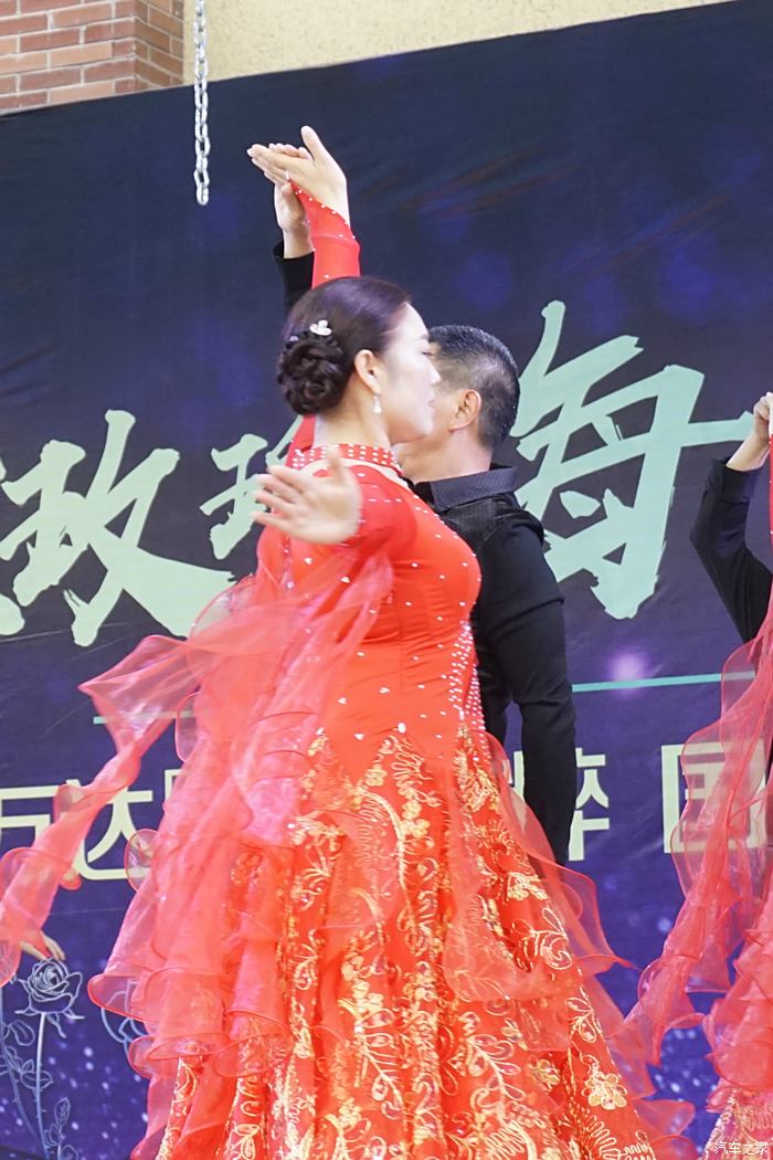 最新交谊舞视频，舞动生活的时尚潮流之选