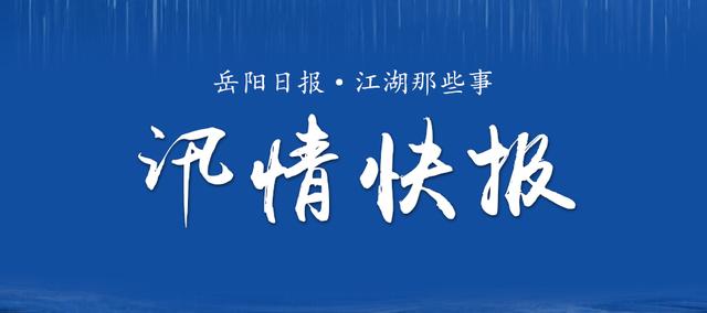 岳阳最新汛情分析报告概览