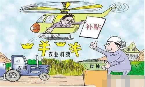 关于承包土地最新政策的深度探讨与解读