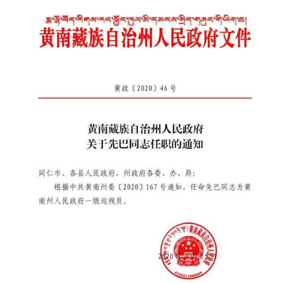 巴吉村委会人事任命更新，推动村级治理迈向新台阶