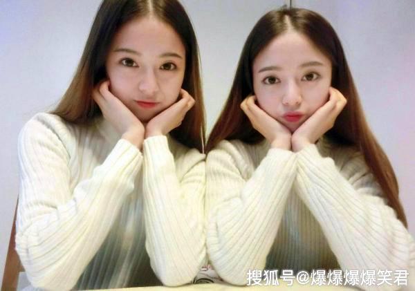 我的老婆是双胞胎，最新消息与动态揭秘