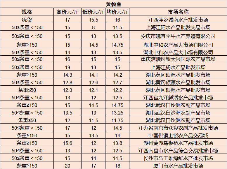揭秘一月马夫罗最新动态与消息更新