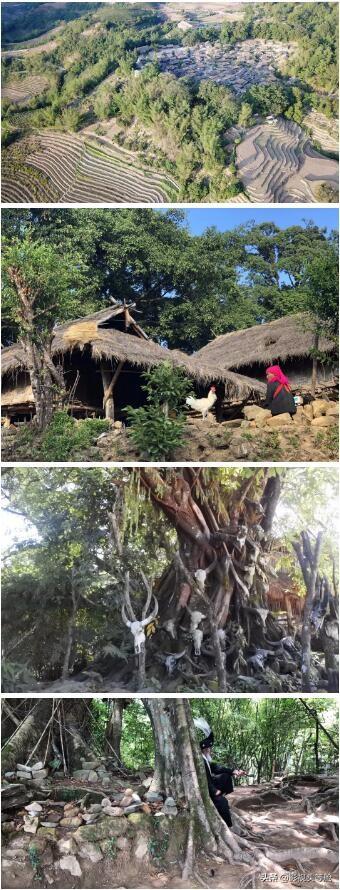 澜沧拉祜族自治县殡葬事业单位最新领导团队亮相