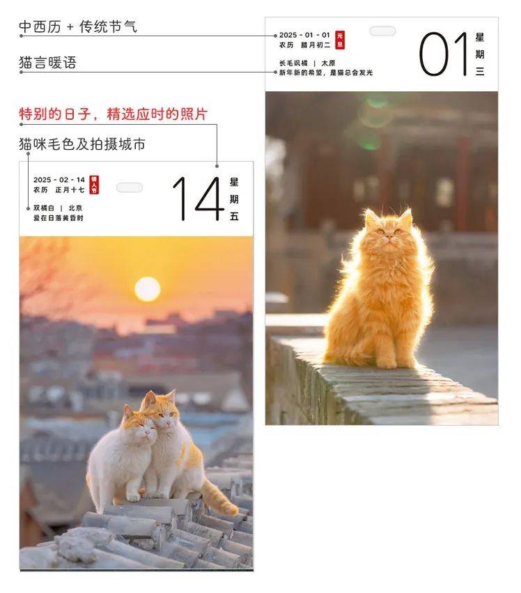 关于很很2025夜夜撸最新现象的探讨与观察