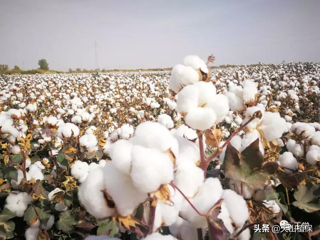 沙雅县统计局最新人事任命及其深远影响