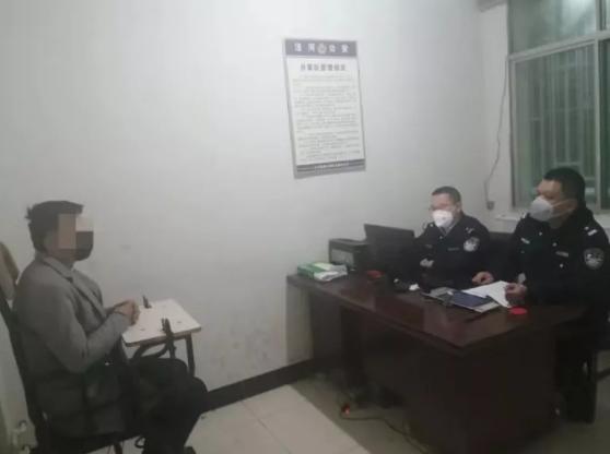 唐苟村委会最新发展规划概览