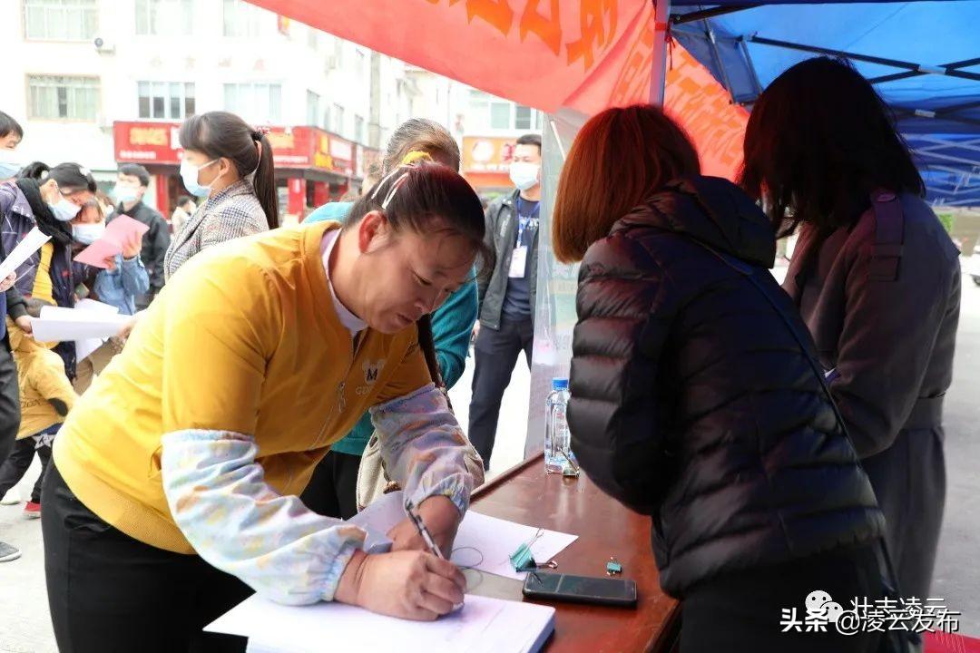 凌云县退役军人事务局最新招聘信息概览，凌云县退役军人事务局招聘启事发布！