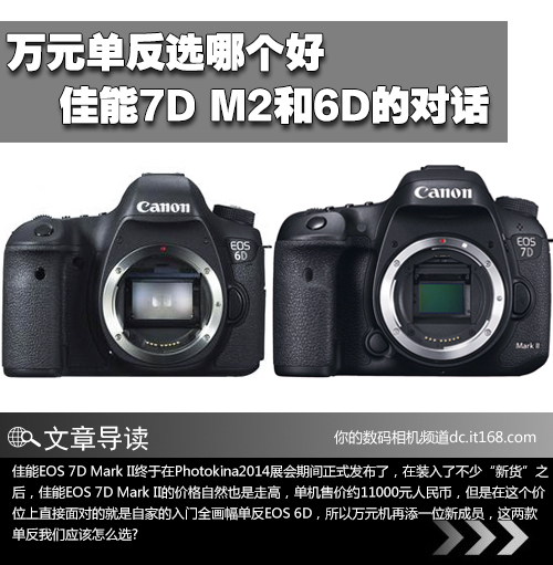 佳能EOS 7D2最新消息深度解析与概述